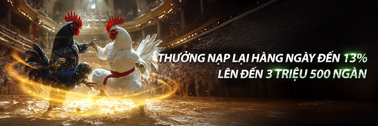 Đá gà kịch tính tại f368 nổ hũ